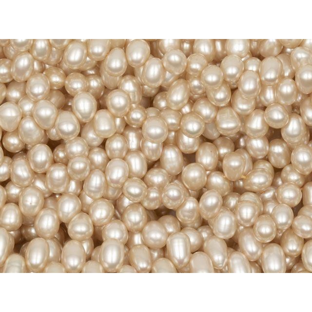 4.5 - 5mm Golden Cream Head Drilled Pearl Strand