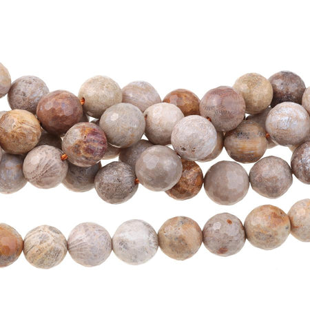 Fossil Coral 10mm Faceted Round 15-16 Inch