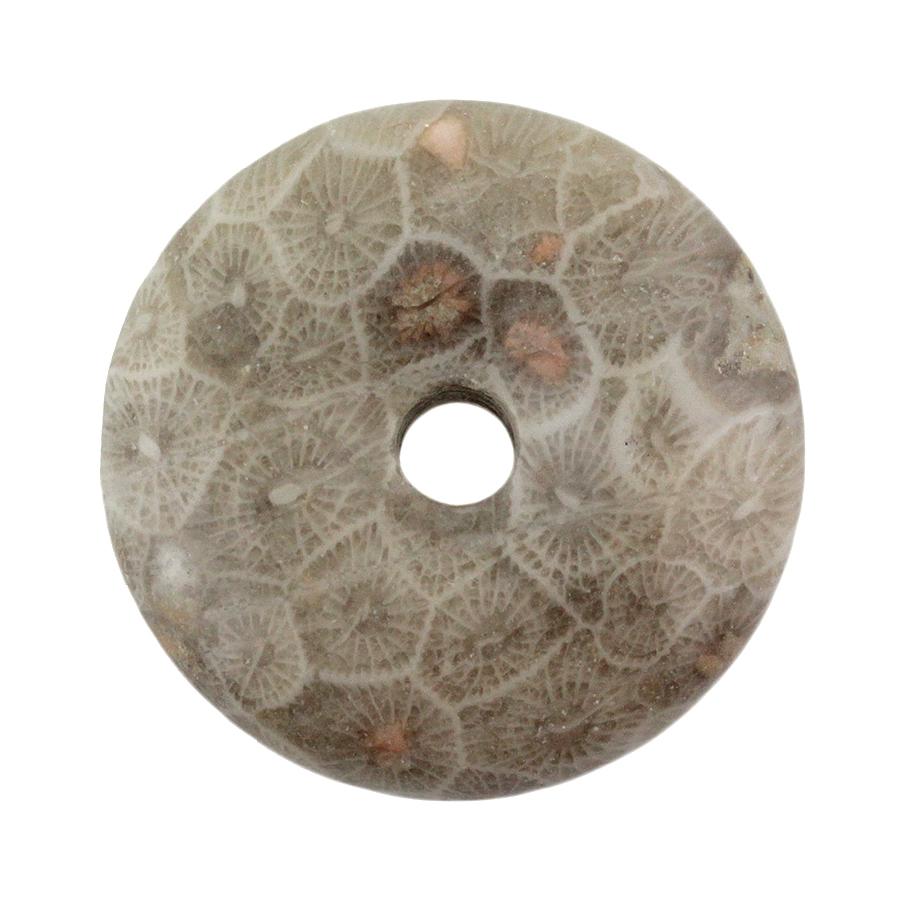 Fossil Jasper 25mm Donut