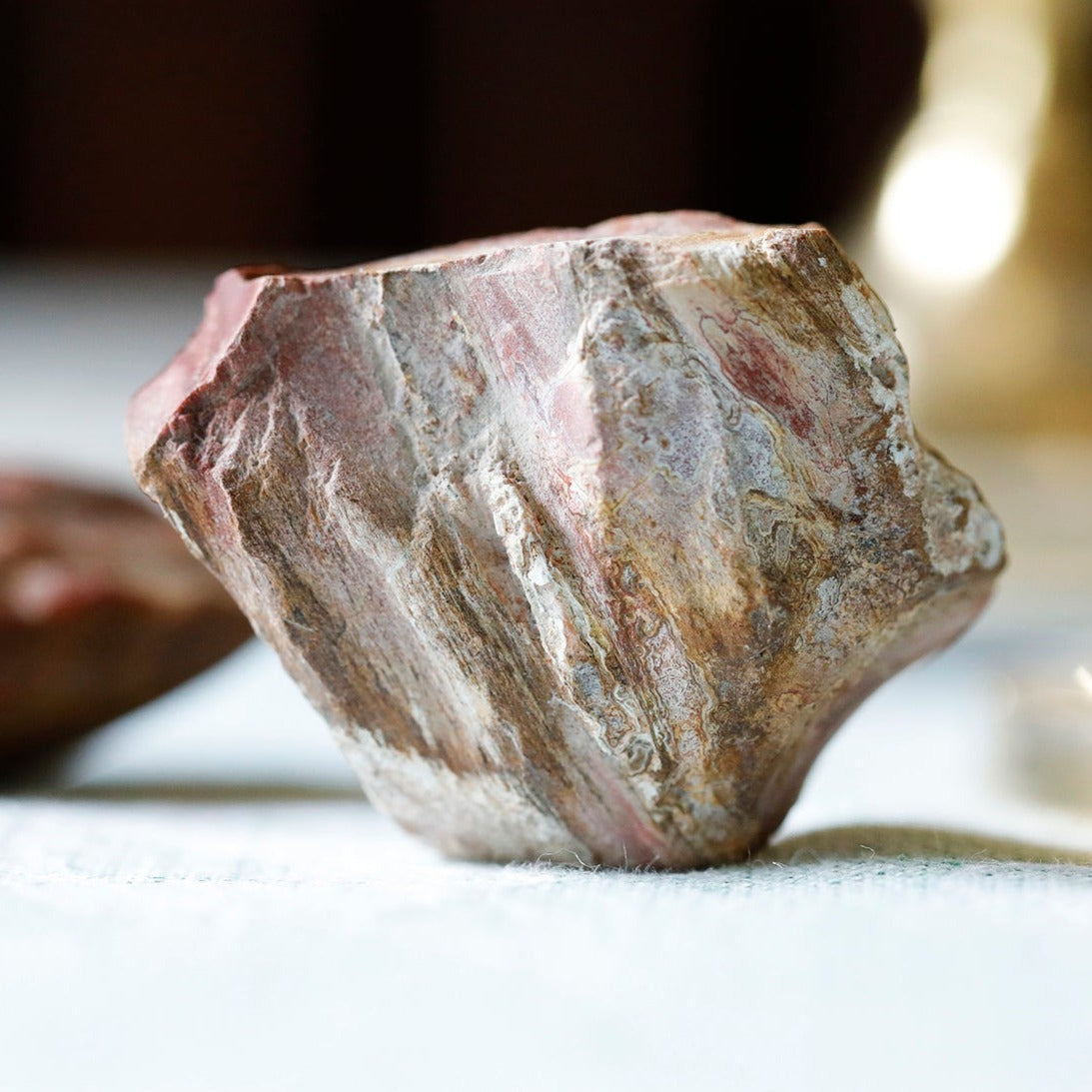 Petrified Wood Rough 5 Piece Nugget Specimens 30-40x50-65mm (200-240 grams) - DS ROCK SHOP - Goody Beads