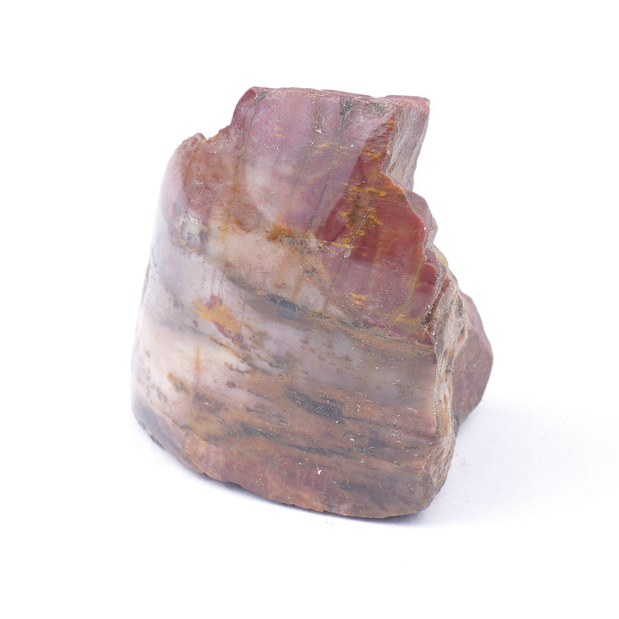 Petrified Wood Rough Nugget Specimen Approx. 30-40x50-65mm 5/pkg - Limited Editions - Goody Beads